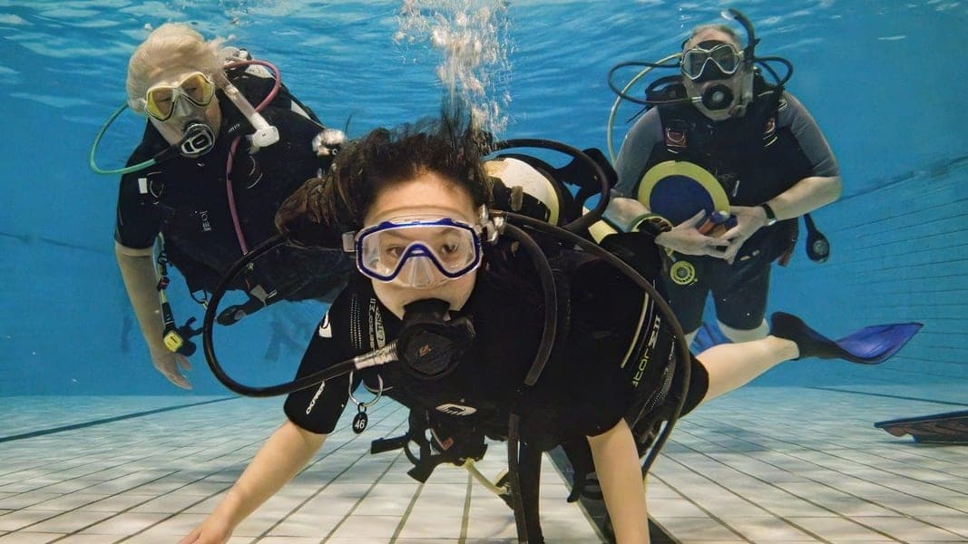 PADI Seal Team